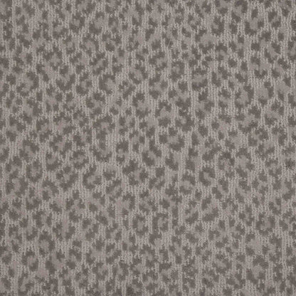 Adventure in Taupe Carpet