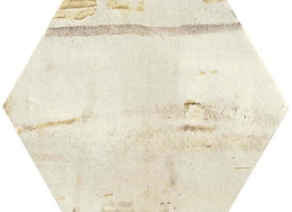 Princeton Glaze in Aged Elegance Hexagon Porcelain