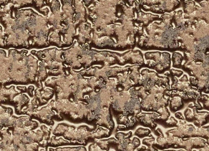 Ainslee Park in Brass