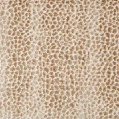 Allegory in Dune Carpet