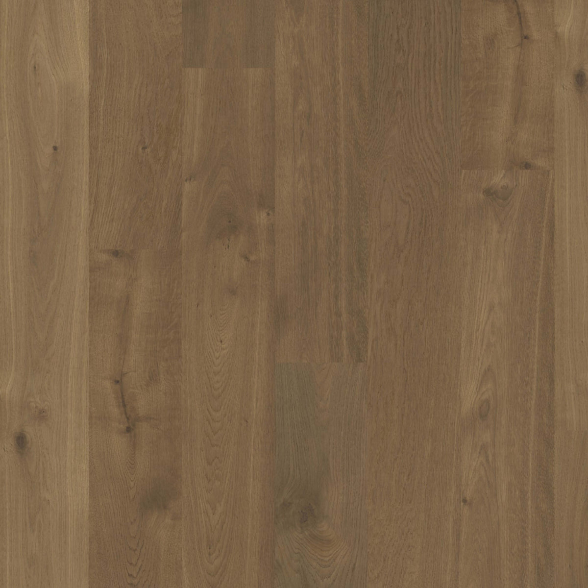 Terra in Alpine Hardwood