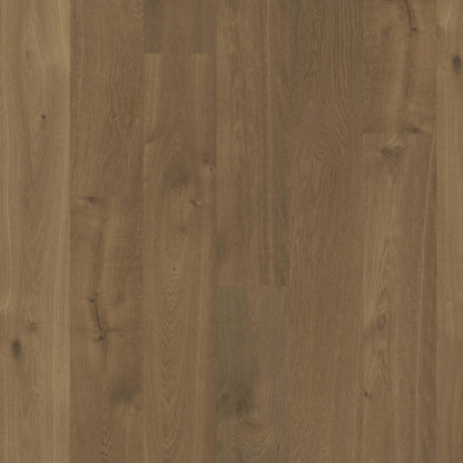 Terra in Alpine Hardwood