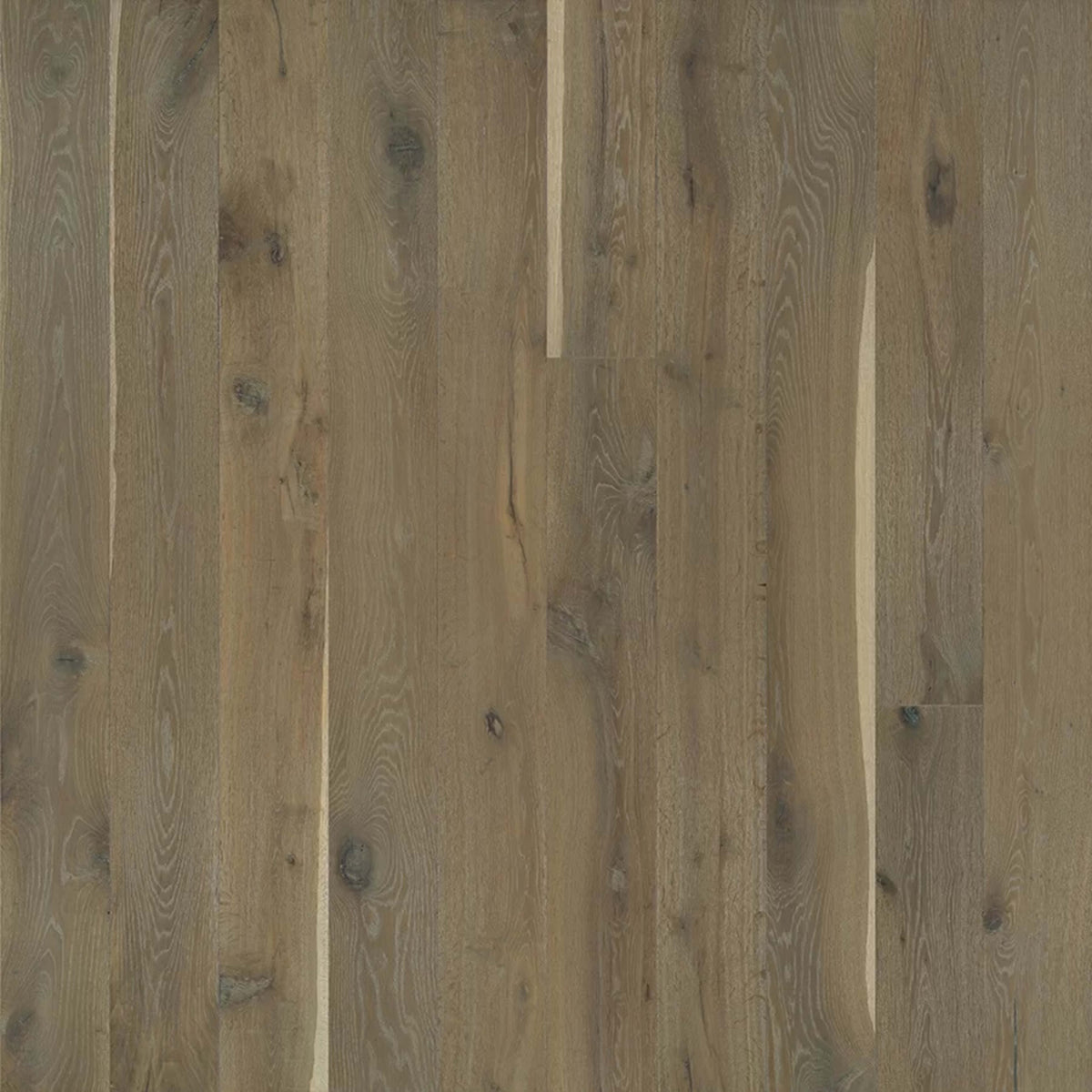Alta Vista Hardwood in Pismo Oak Hardwood