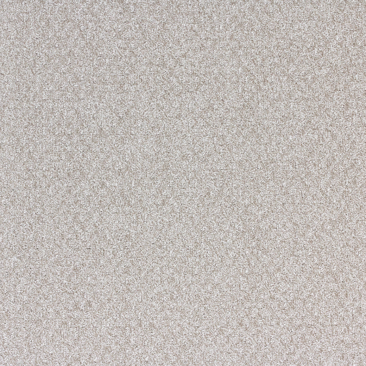Ambience in Sparkling Carpet