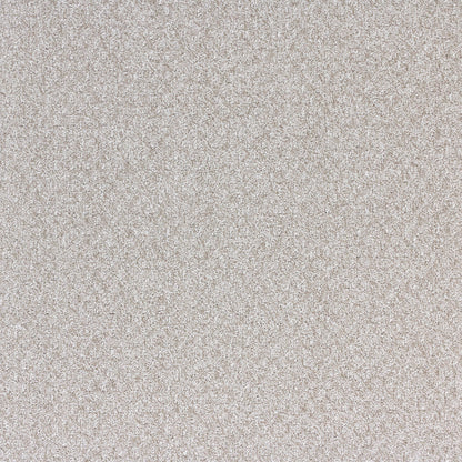 Ambience in Sparkling Carpet