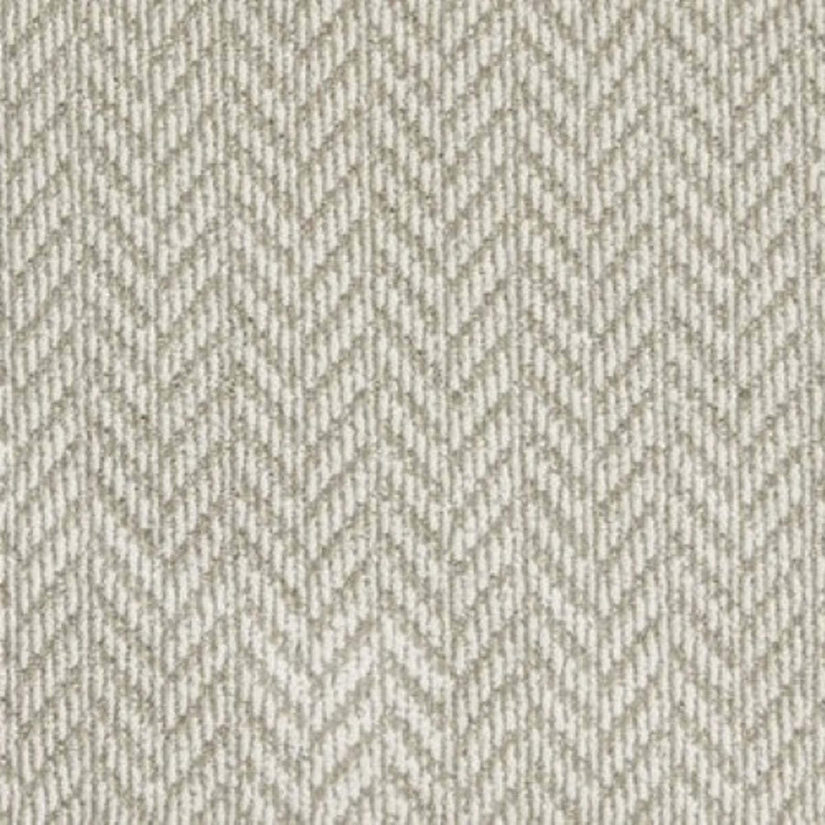 Apex in Oyster Carpet