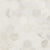 Arabescato Venato White in Arabescato Venato White 2" Hexagon Honed Natural Stone
