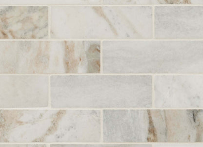 Arabescato Venato White in Arabescato Venato White Tile 2x6