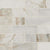 Arabescato Venato White in Arabescato Venato White Tile 2x6 Natural Stone