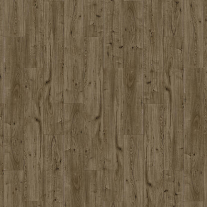 Innovious - Perceptions in Arden Oak Luxury Vinyl