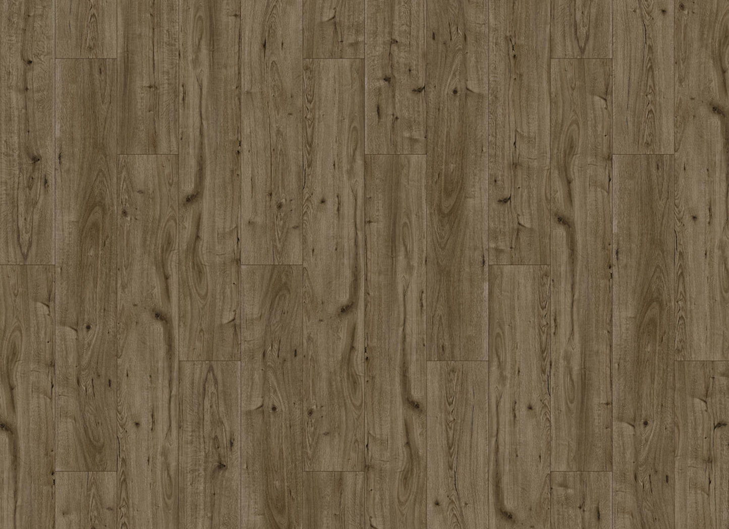 Innovious - Perceptions in Arden Oak