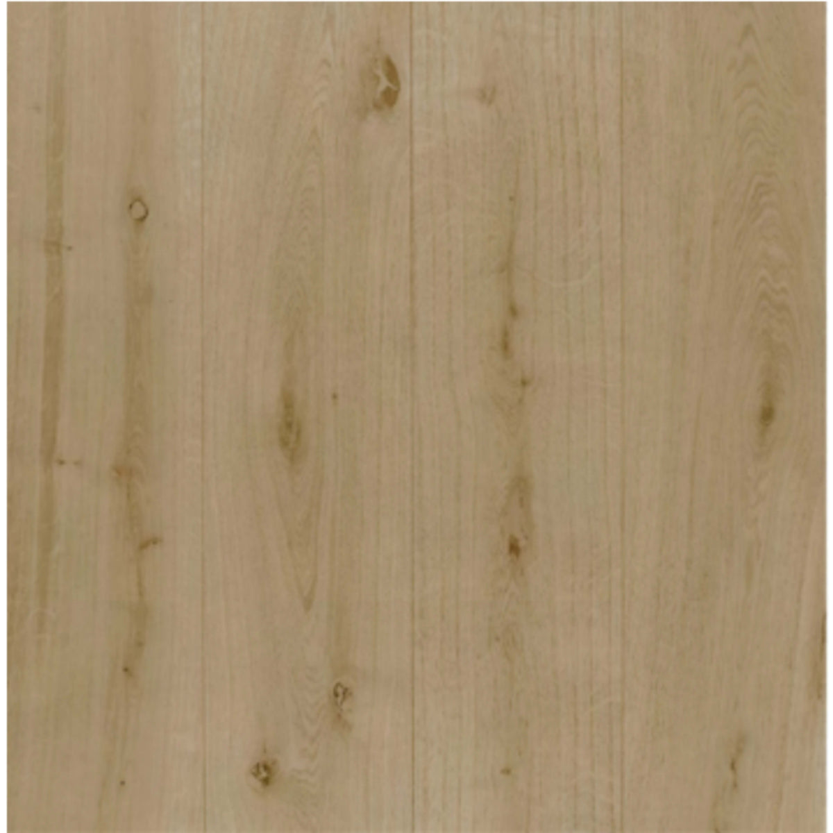 Tierra in Arena Hardwood