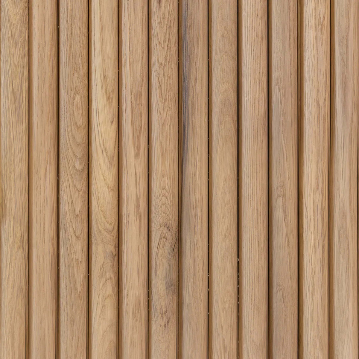 Wall - Moderne - Arque in Natural Hardwood