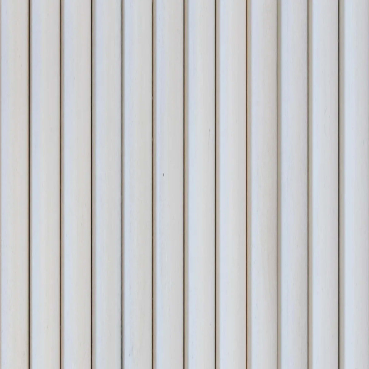 Wall - Moderne - Arque in Paint Grade White Hardwood