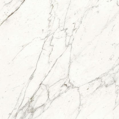 Trilogy in Calacatta 24x48 Tile