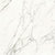 Trilogy in Calacatta 24x48 Tile