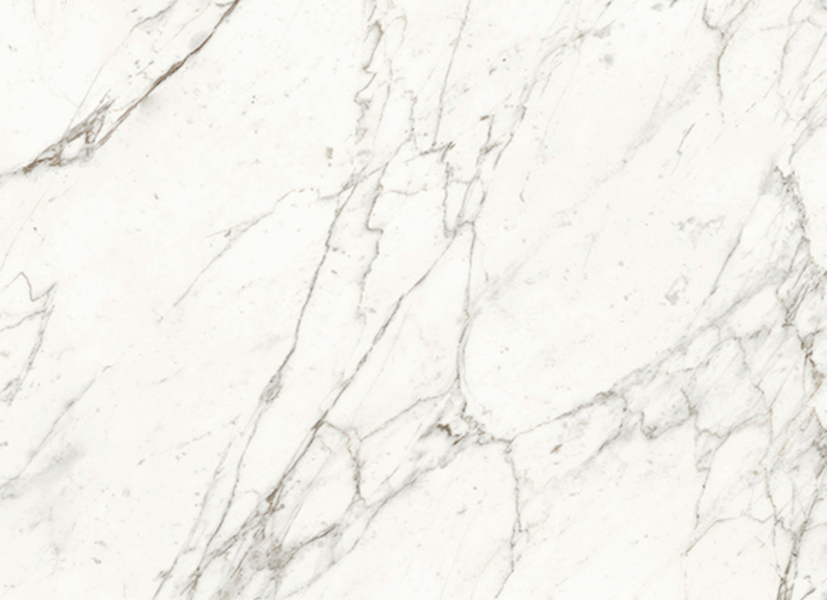 Trilogy in Calacatta 24x48