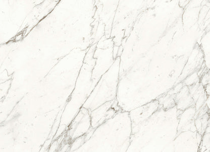 Trilogy in Calacatta 24x48
