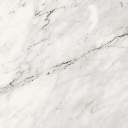 Trilogy in Carrara Classic 12x24 Tile