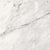 Trilogy in Carrara Classic 12x24 Tile