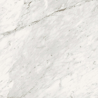 Trilogy in Carrara Classic 24x48 Tile