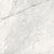 Trilogy in Carrara Classic 24x48 Tile