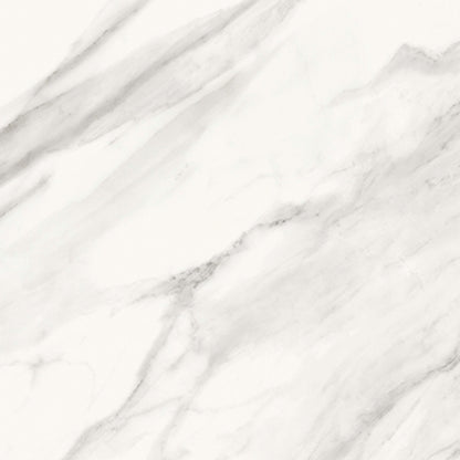 Trilogy in Volakas Royal 24x48 Tile