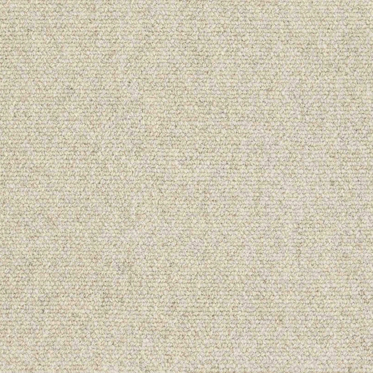 Authentique in Cloud Carpet