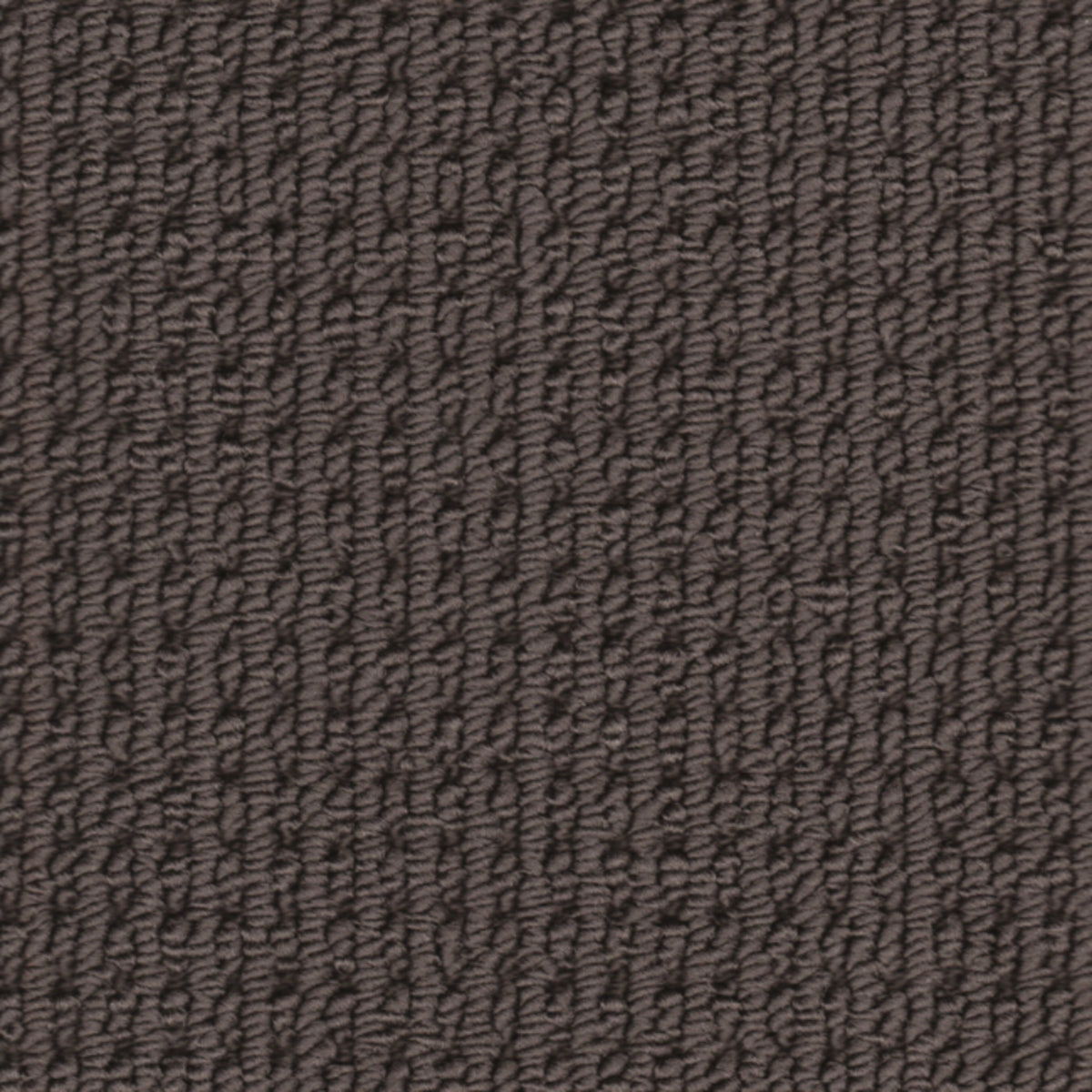 Avalon in Briquette Carpet