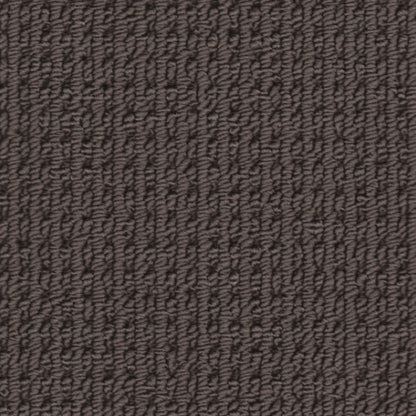Avalon in Briquette Carpet