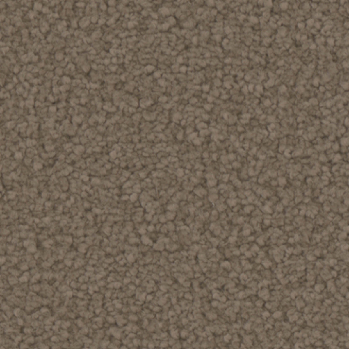Balmoral in Cobblestone Carpet