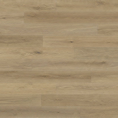 Renaissance in Avelino Hardwood