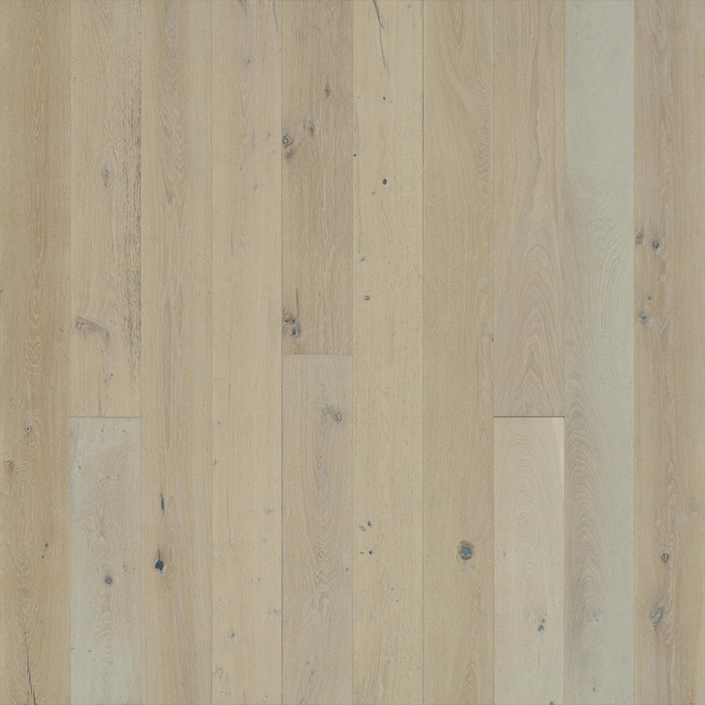 Avenue Collection in Ocean Drive Oak Hardwood