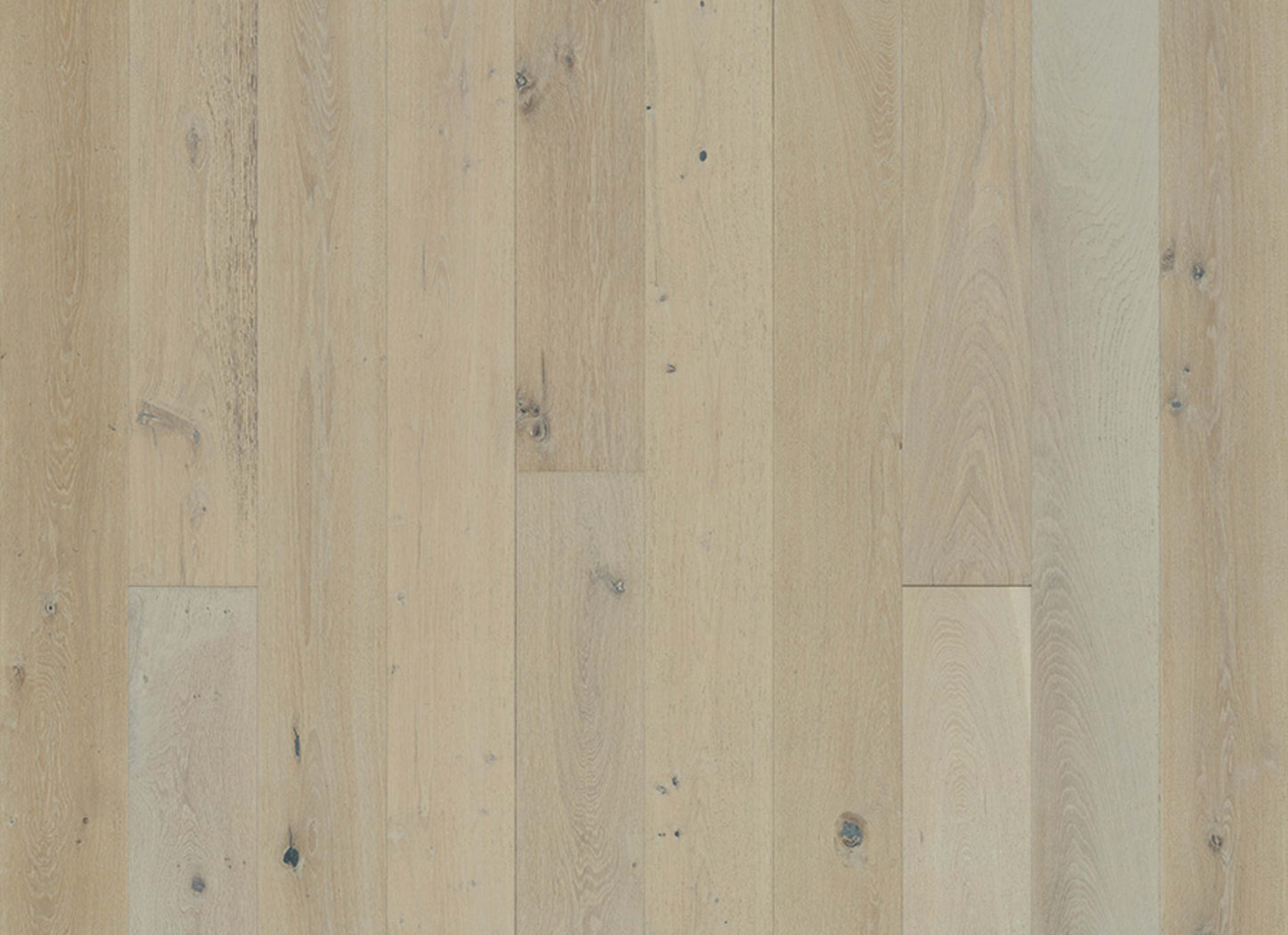 Avenue Collection in Ocean Drive Oak