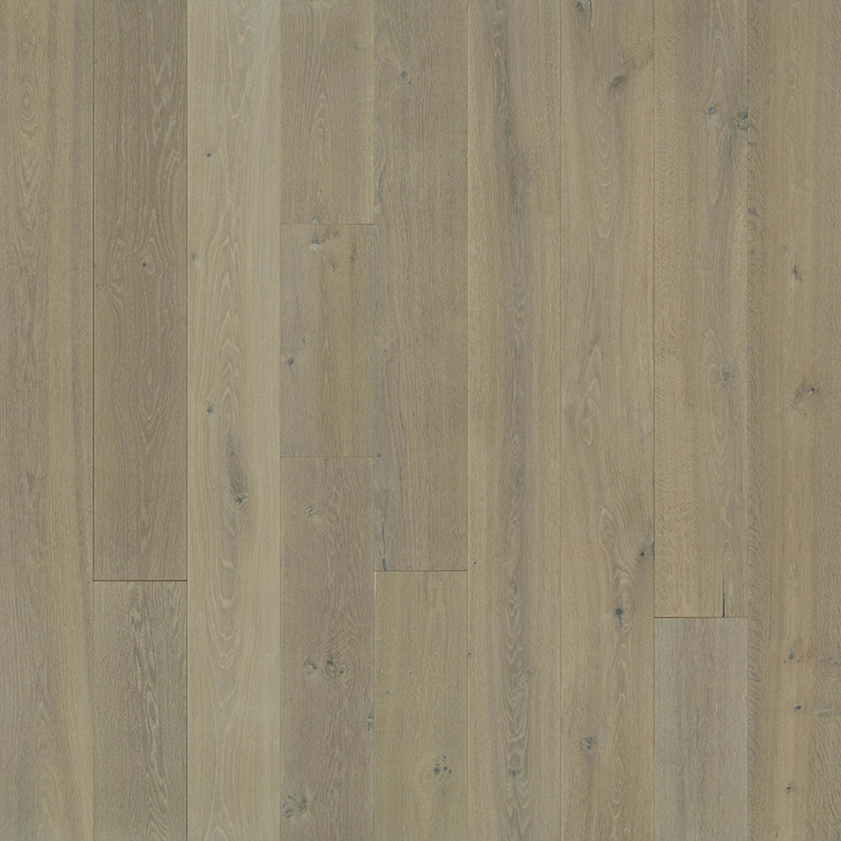 Avenue Collection in Sunset Oak Hardwood
