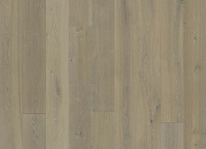 Avenue Collection in Sunset Oak