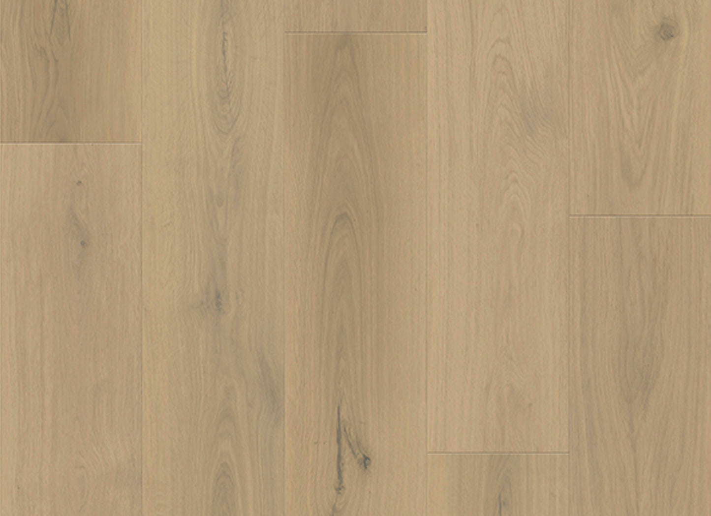 Boundless 20 in Toffee