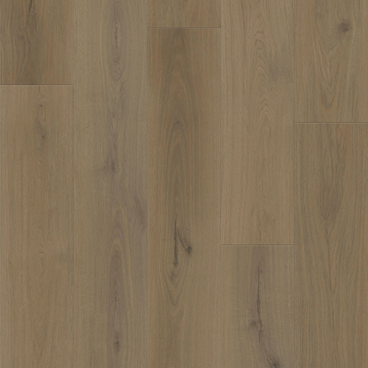 Boundless 8 in Forest Luxury Vinyl