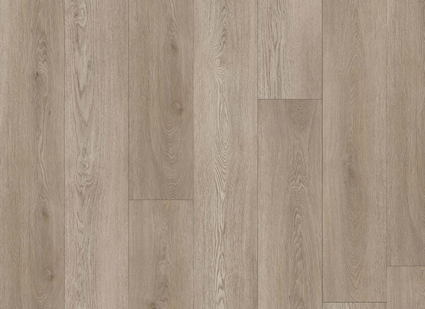 Boundless 12 in Urban