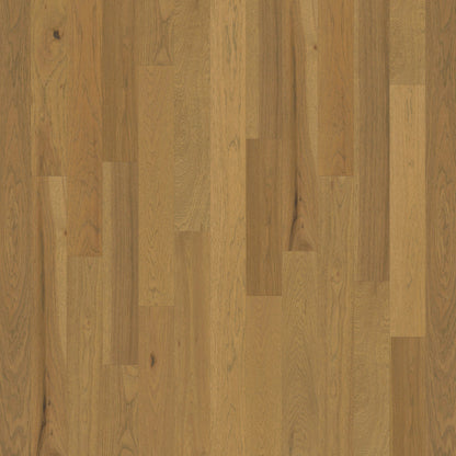 Backlands in Cibolo Hardwood