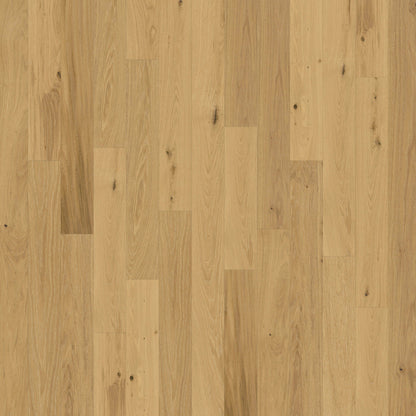 Backlands in Navarro Hardwood