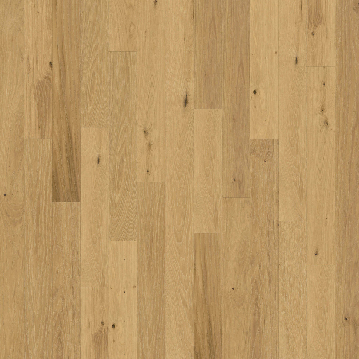 Backlands in Navasota Hardwood