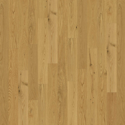Backlands in Rio Grande Hardwood