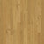 Backlands in Rio Grande Hardwood