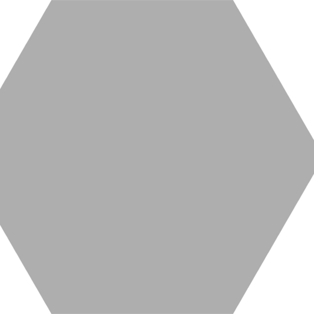 Basic Hex in Silver Tile