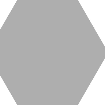 Basic Hex in Silver Tile
