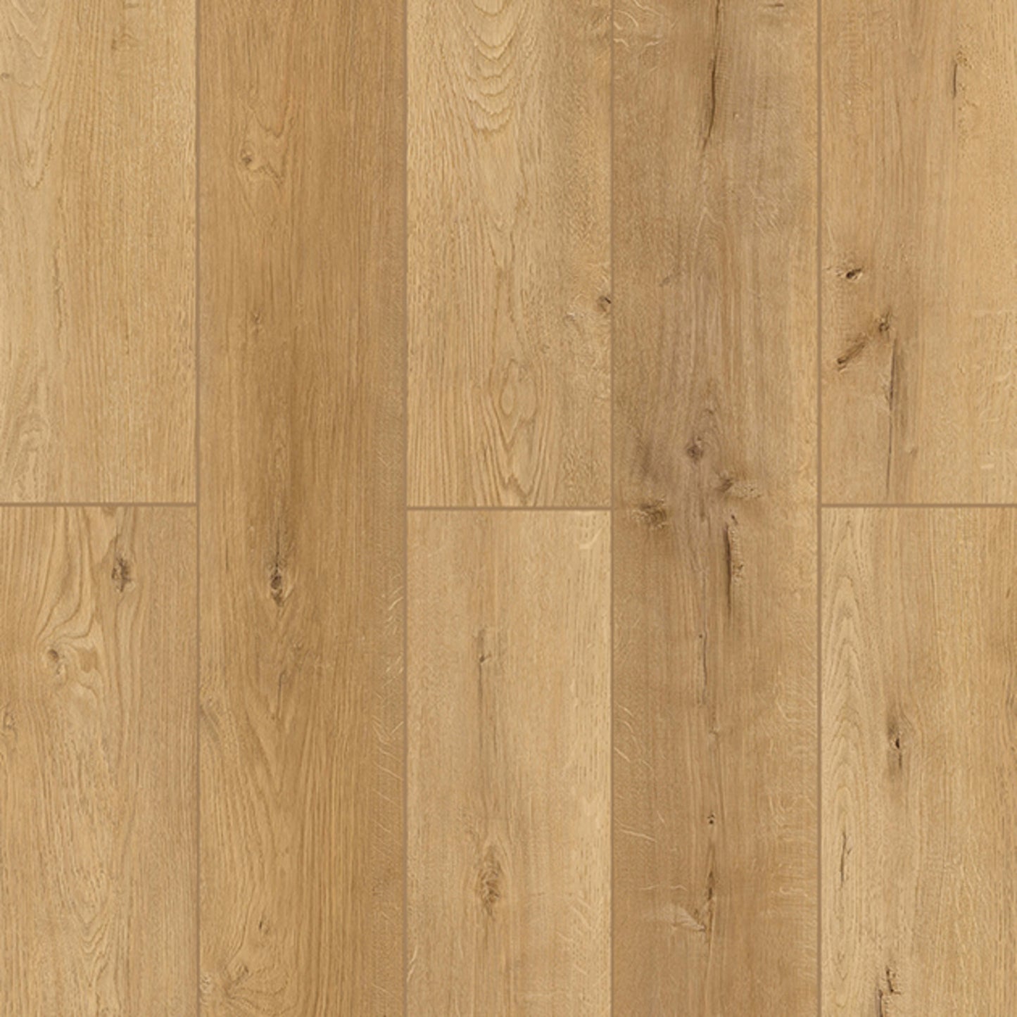 Bambino Collection in Naples Parfum Luxury Vinyl