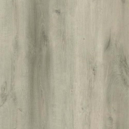 Bambino Collection in Rivoli Luxury Vinyl