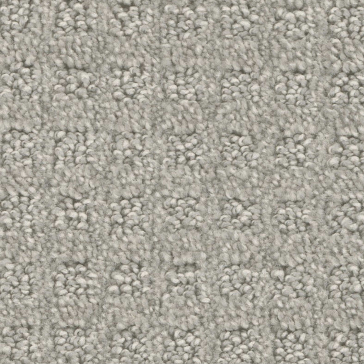 Byron Bay (S) in Silver Birch Carpet