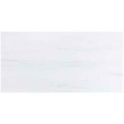 Bianco Dolomite in Premium 12x24 Polished Natural Stone